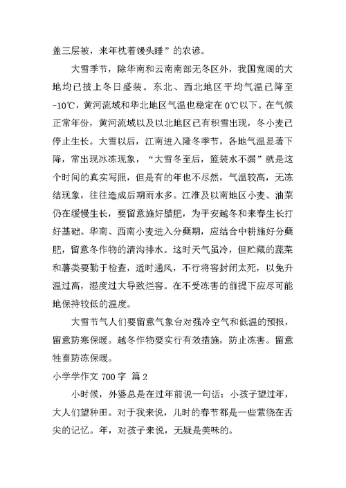 小学学作文700字