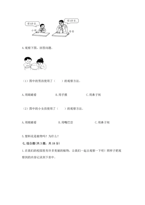 教科版小学一年级上册科学期末测试卷精品（巩固）.docx