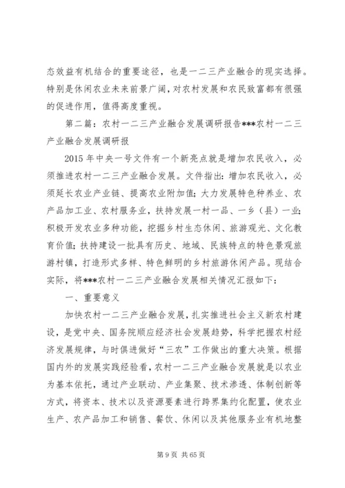 产业融合调研报告调研报告.docx
