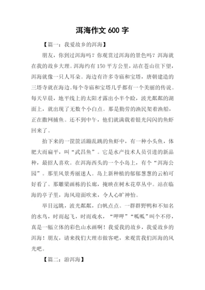 洱海作文600字0.docx