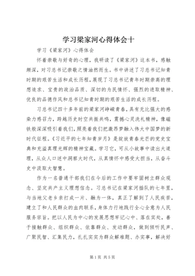 学习梁家河心得体会十 (2).docx