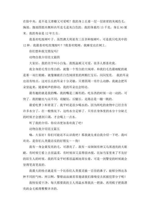 动物自我介绍精选5篇.docx