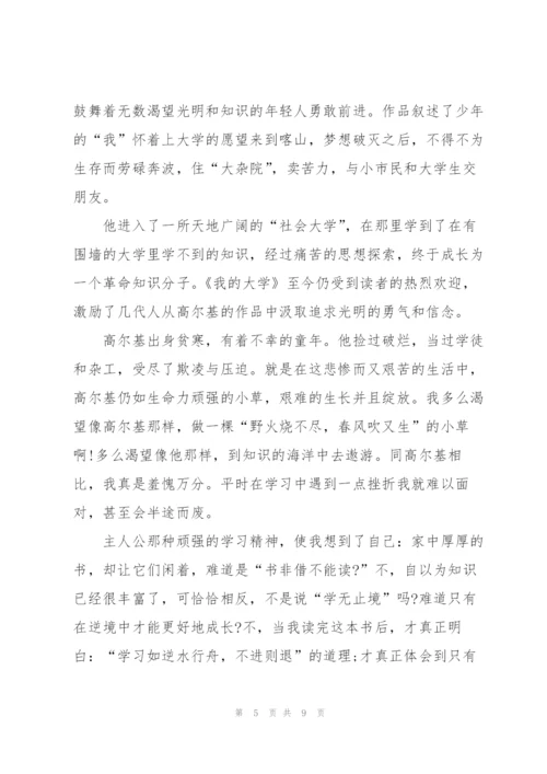 我的大学读后感600字5篇.docx