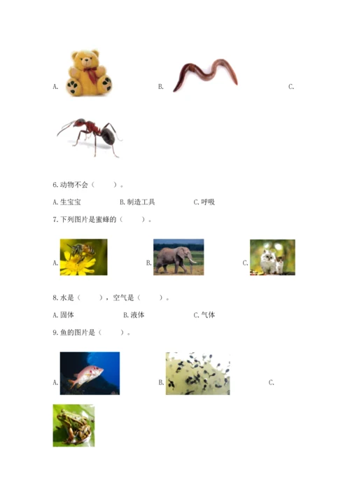 教科版一年级下册科学期末测试卷精品（预热题）.docx