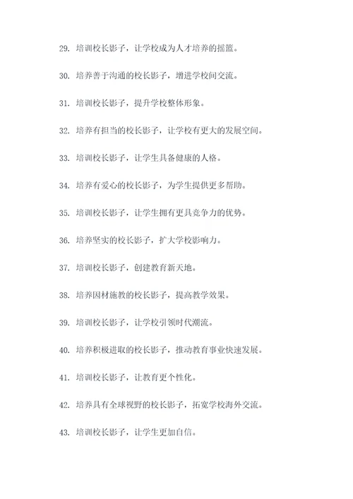 校长影子培训宣传口号