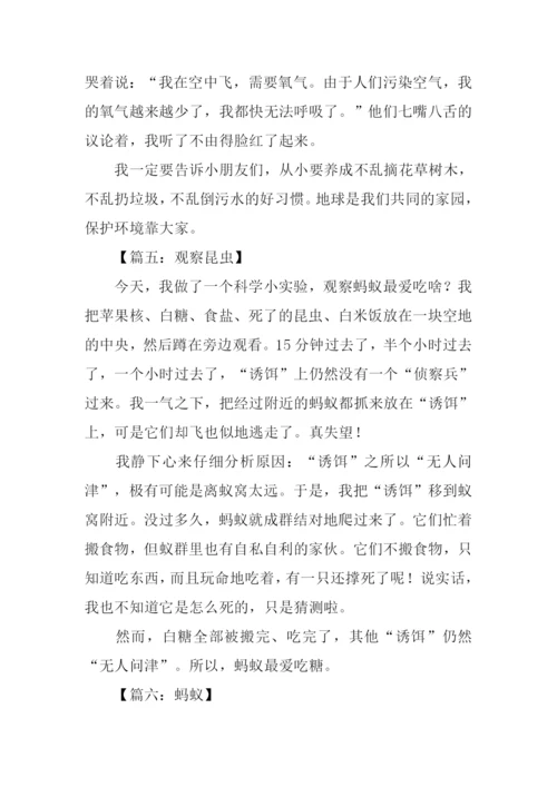 观察昆虫的小练笔.docx