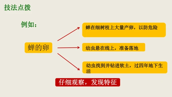 部编版八上语文第五单元写作《说明事物要抓住特征》课件