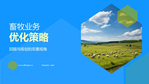 畜牧业务优化策略