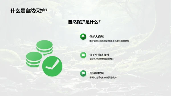 拥抱绿色，铸就未来