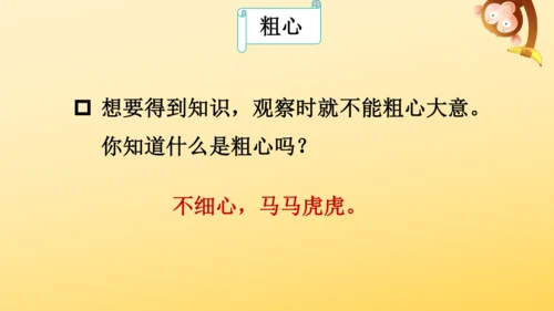 3 植物妈妈有办法  课件