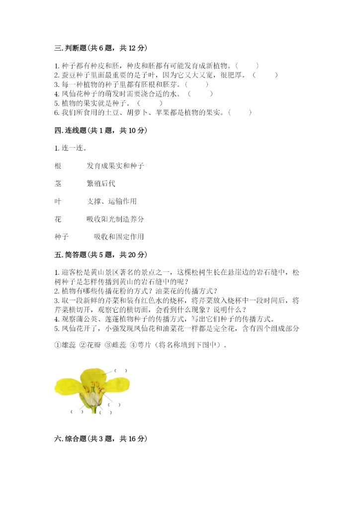 科学四年级下册第一单元植物的生长变化测试卷精品（能力提升）.docx