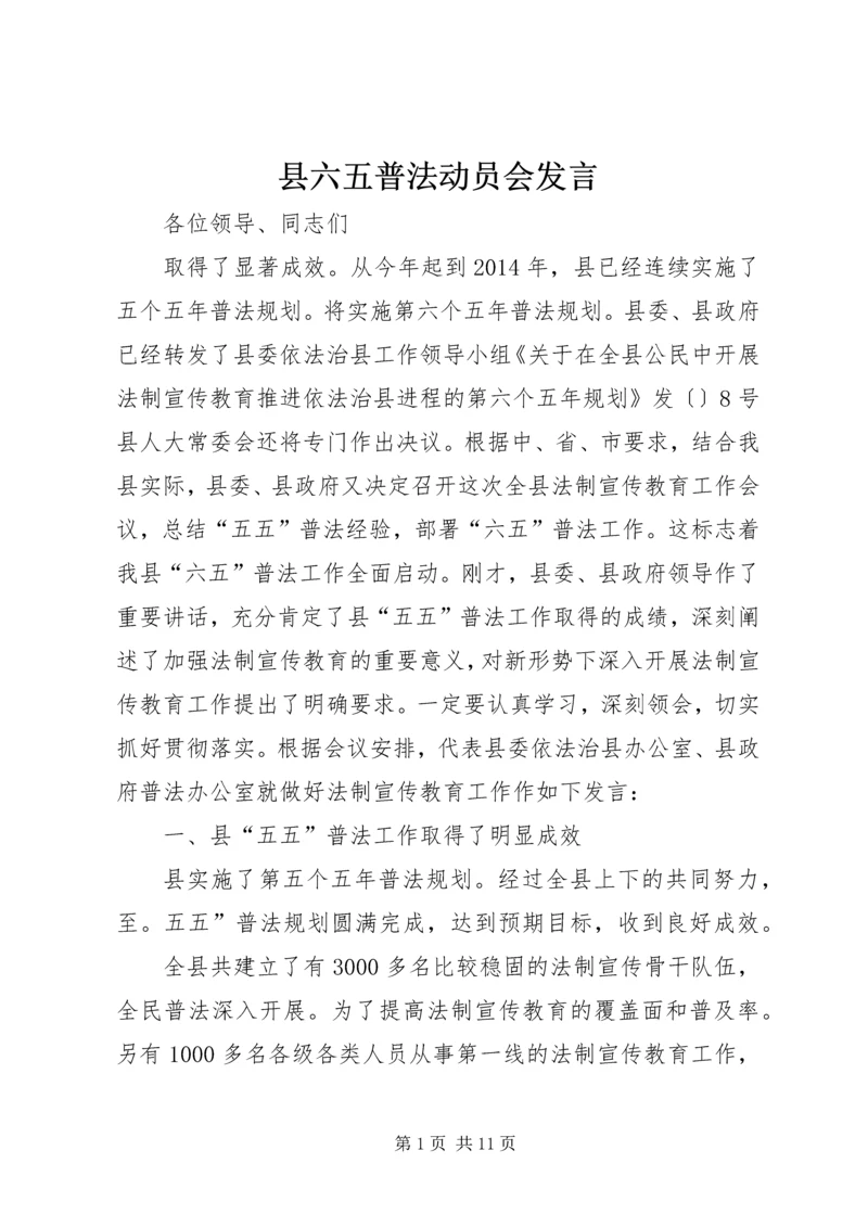 县六五普法动员会发言.docx