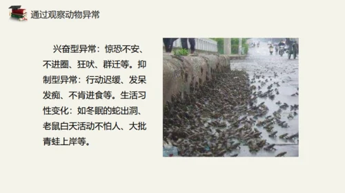 地震儿童安全知识教育通用PPT模板