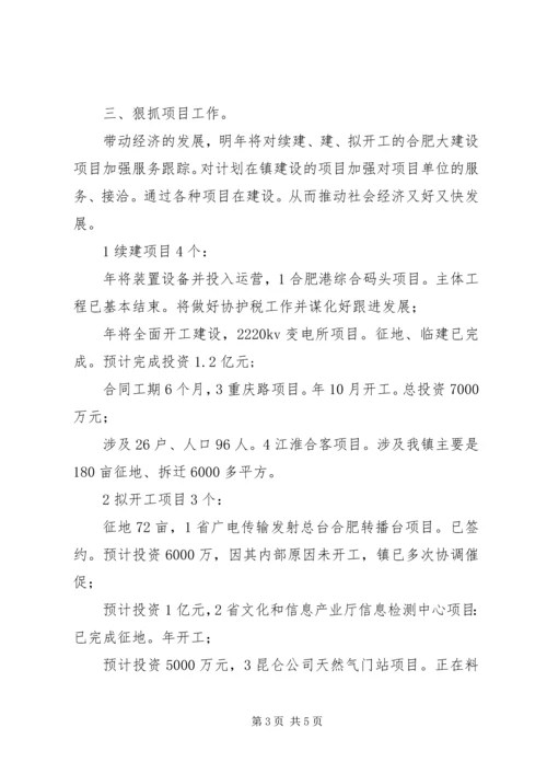 新镇民生管理发展计划.docx