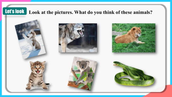 Unit 12 Section B（2a-2c）课件 （新目标七下Unit 12 What did 