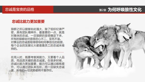 狼性文化通用PPT模板