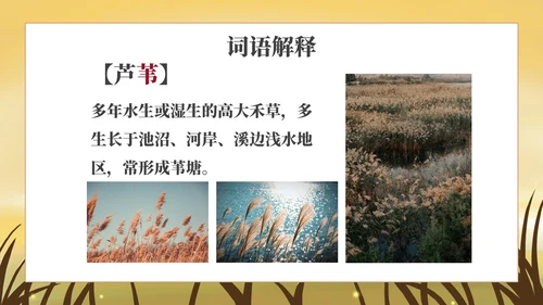 部编版四年级上册《秋晚的江上》