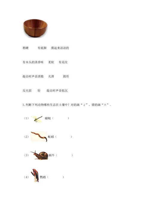 教科版科学二年级上册《期末测试卷》（名师推荐）.docx