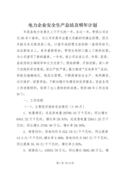 电力企业安全生产总结及明年计划.docx