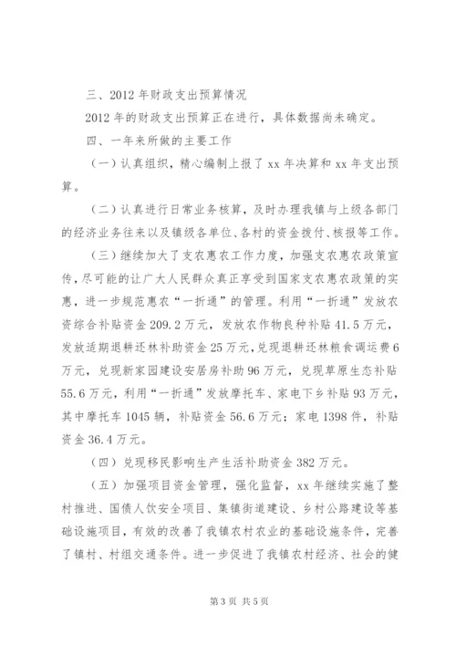 乡镇XX年财务收支情况工作报告.docx