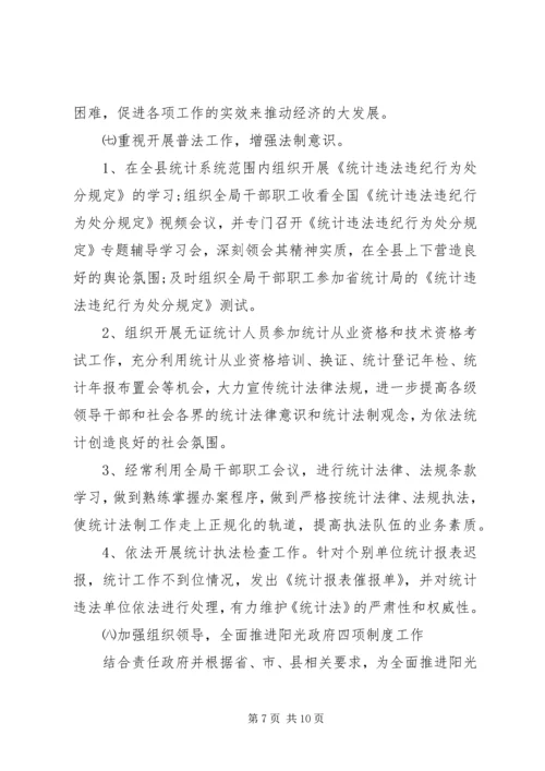统计局年度工作总结及工作计划.docx