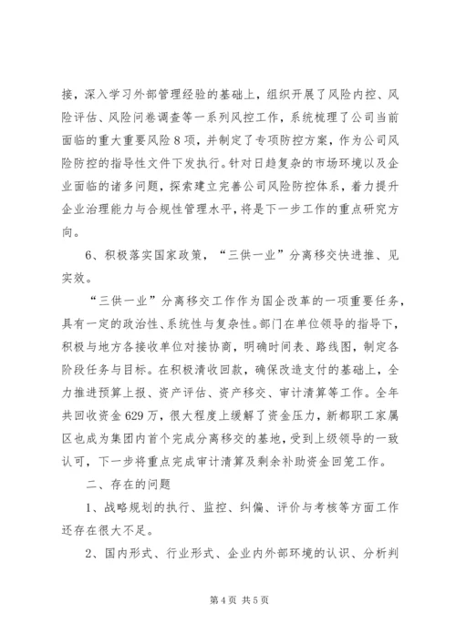 企业发展规划部工作总结.docx