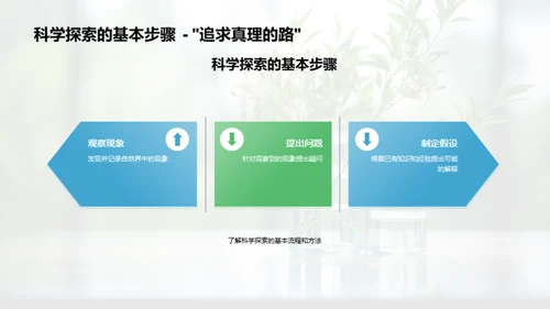 科学之旅：探秘自然世界