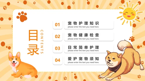 猫咪，宠物健康管理PPT模板