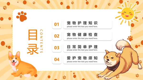 猫咪，宠物健康管理PPT模板