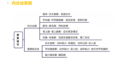 第四单元 生物圈中的人 七年级生物下册同步精品课件（人教版）(共31张PPT)