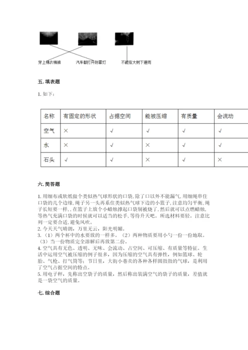 教科版三年级上册科学期末测试卷（考试直接用）.docx