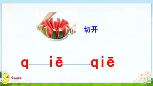 汉语拼音11  ie  üe  er 课件