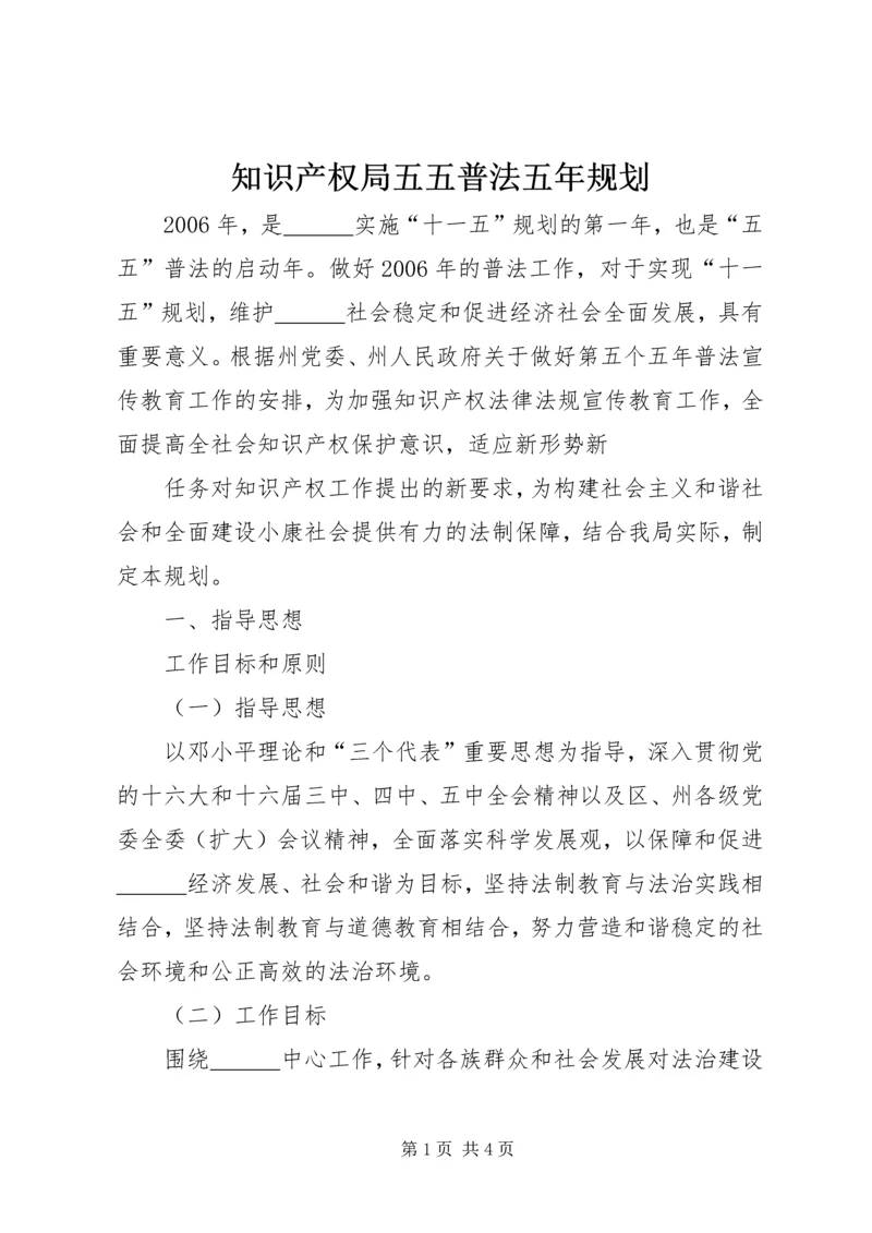 知识产权局五五普法五年规划 (2).docx