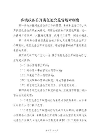 乡镇政务公开责任追究监管规章制度.docx