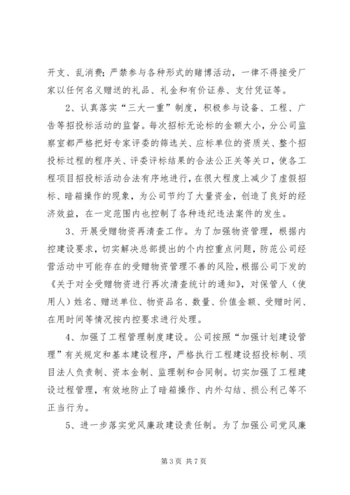 企业公司纪检监察工作总结.docx