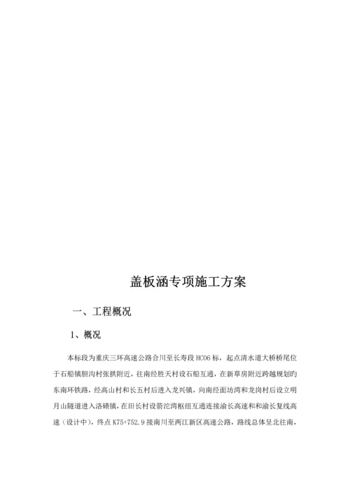 盖板涵专项综合施工专题方案.docx