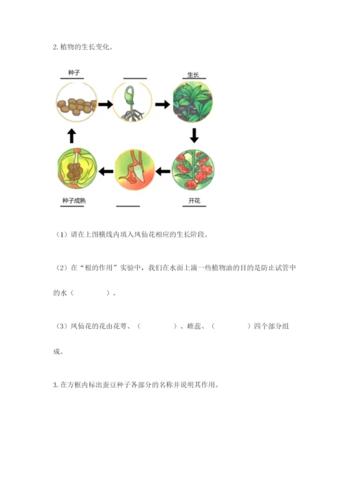 科学四年级下册第一单元植物的生长变化测试卷a4版.docx