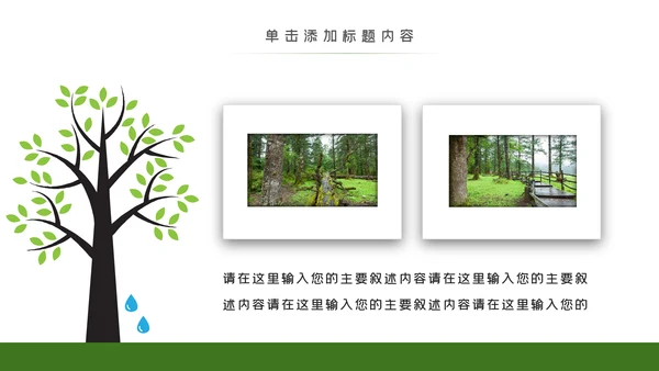 环境保护生态森林森业PPT动态模板