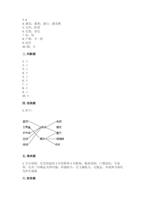 教科版科学三年级下册期末测试卷（考点精练）.docx