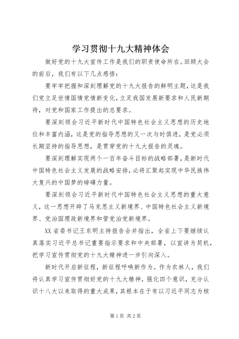 学习贯彻十九大精神体会.docx