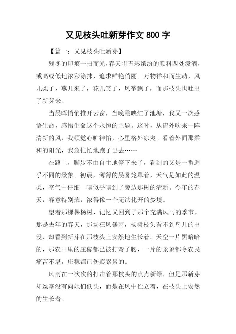 又见枝头吐新芽作文800字.docx