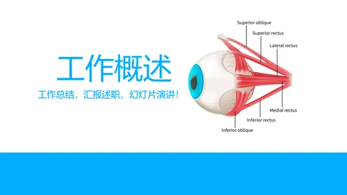 眼科工作总结与计划动态PPT