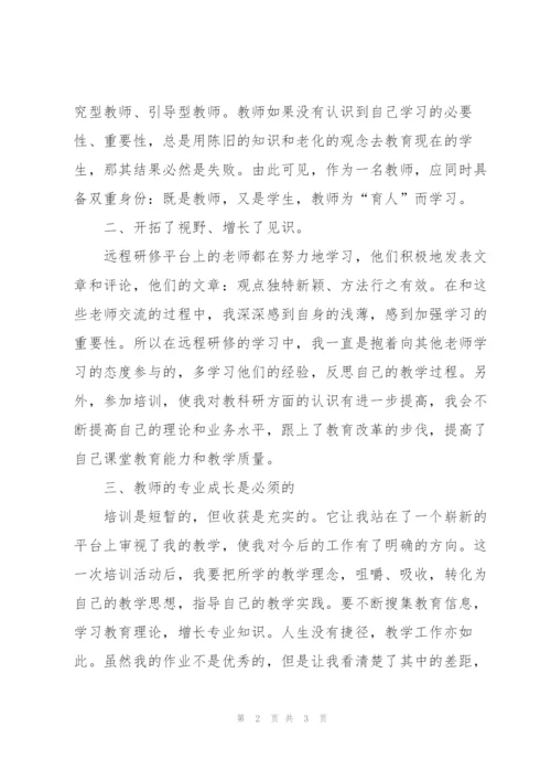 教师远程培训个人研修总结.docx
