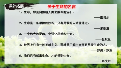 第16课 散文二篇 《永久的生命》课件