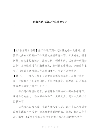 销售员试用期工作总结500字.docx