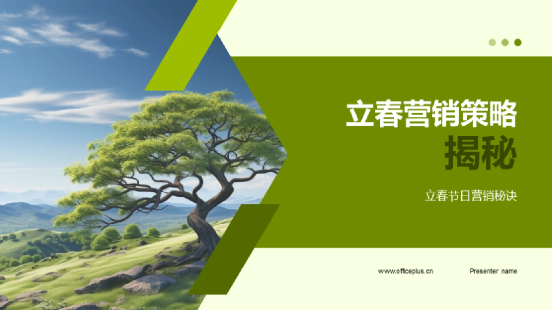 立春营销策略揭秘