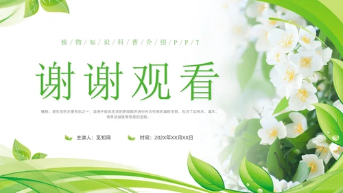 植物介绍简约绿色树叶花卉线条知识科普