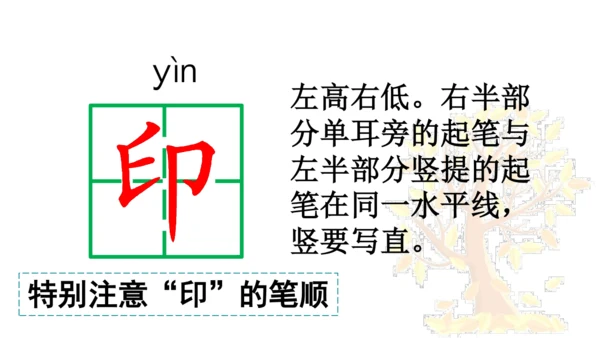 5 铺满金色巴掌的水泥道