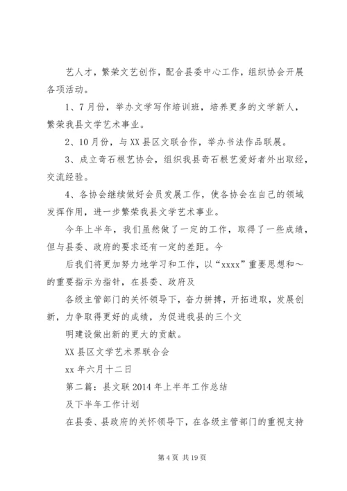 文联XX年上半年工作总结及下半年工作计划.docx