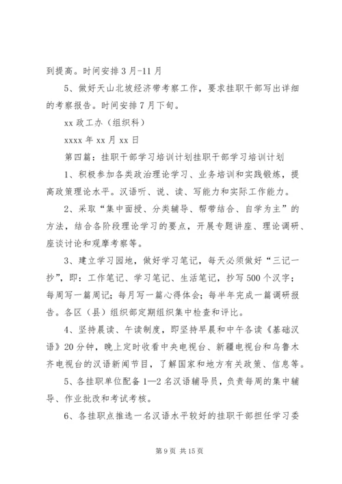 挂职干部学习实践计划.docx